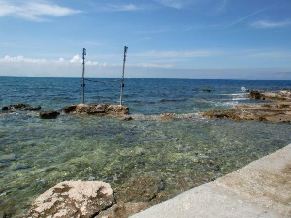 Azalea, Apartment Umag